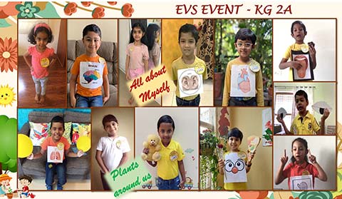 KG EVS Event Term 1 - 1