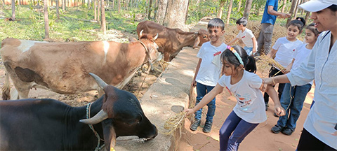 KG Field trip to Big Barn - 11