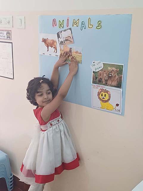 Litlingo- for Juniors - 11