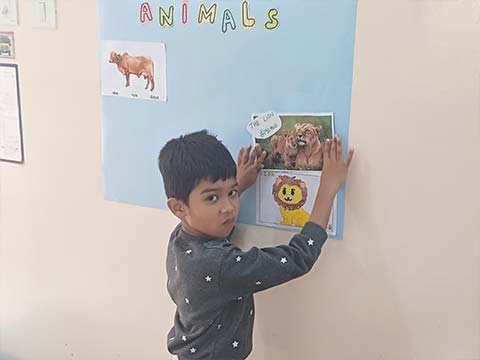 Litlingo- for Juniors - 7
