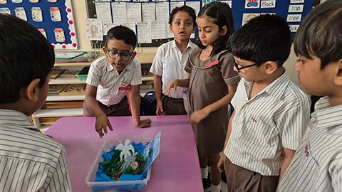 Kindergarten 1 EVS Term 2 - 18