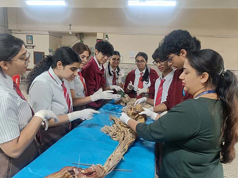 Visit to St. John's Medical College - 3